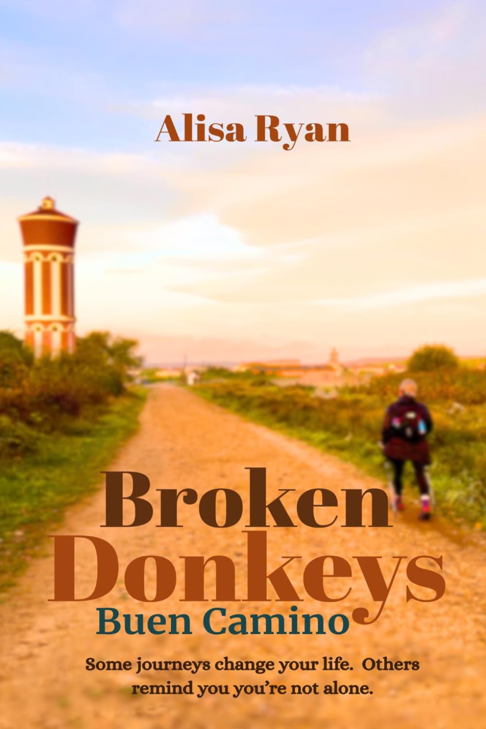 Broken Donkeys: Buen Camino
