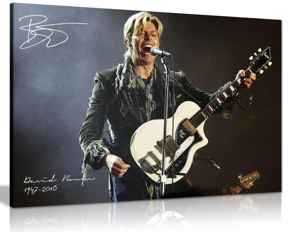 Panther Print Black David Bowie Guitar Signature Canvas Wall Art Picture Print (24X16)