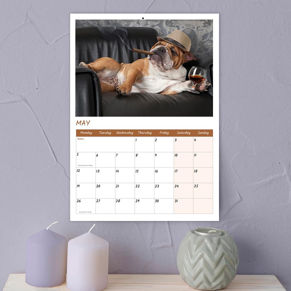 A4 Crazy Canines Wall Calendar 2026 UK 12 Months 2026 Calendar Month to View Funny Dog Calendar 2026 Papa Prints - Image 3