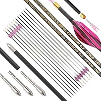 6/12pc Longueur Personnalisée Flèches En Carbone 300/350/400