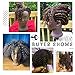 MORRIS 10” Human Hair Training Afro Mannequin Head – Short Curly Hair for Beginners to Practice Braiding, Cutting, Styling – Includes Clamp