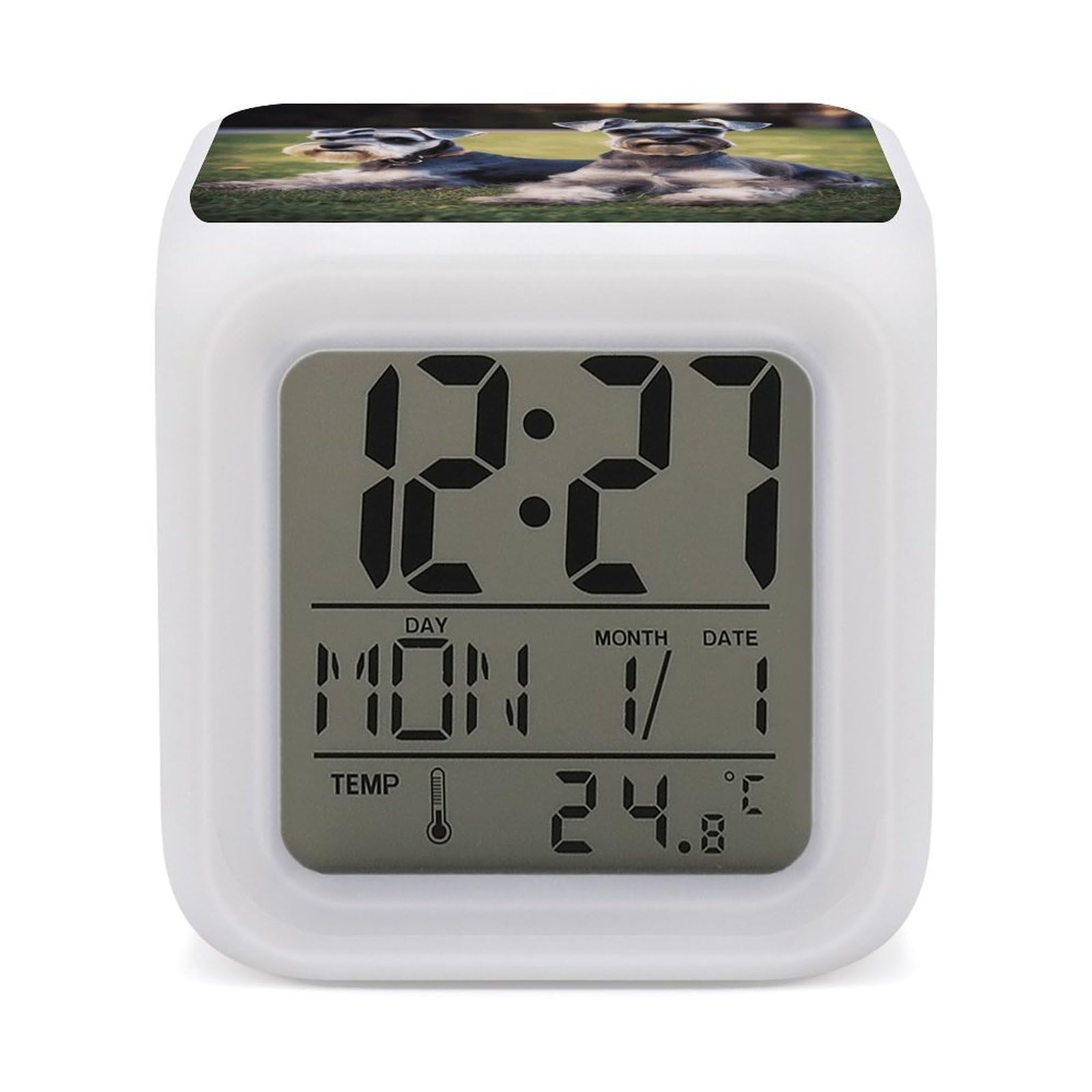 JTREHY Adult Schnauzer Dogs Alarm Clock Seven Color Night Light Digital Clock Precision Reliable Alarms Clocks for Bedroom Heavy Sleepers Adults Gift for Men and Women