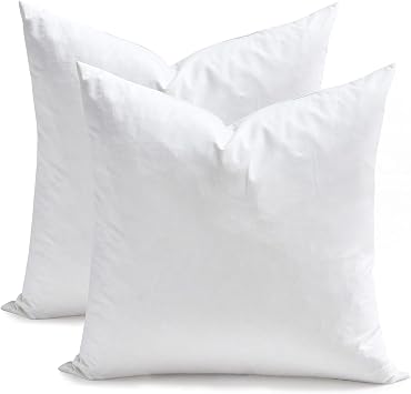 TOPGREEN Ogranic Feathers Down Pillow Inserts 12x12, Pack of 2, White