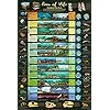 Laminated Eras of Life Geological Time Scale Educational Science Chart Poster 24 x 36