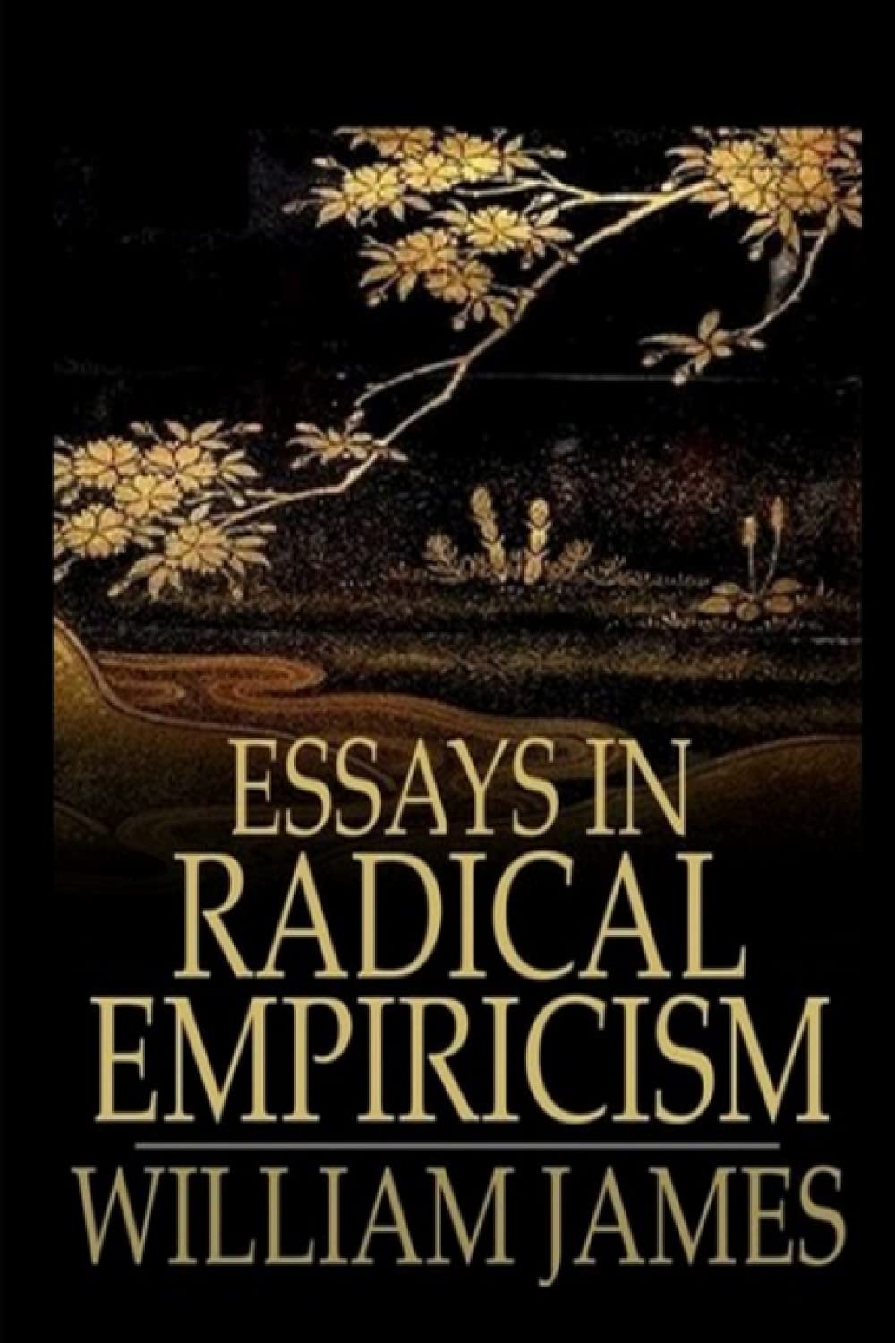 Essays in Radical Empiricism