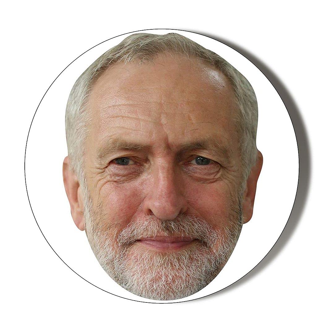 Gift Insanity Jeremy Corbyn Face Small 6 X 70Mm Vinyl Stickers