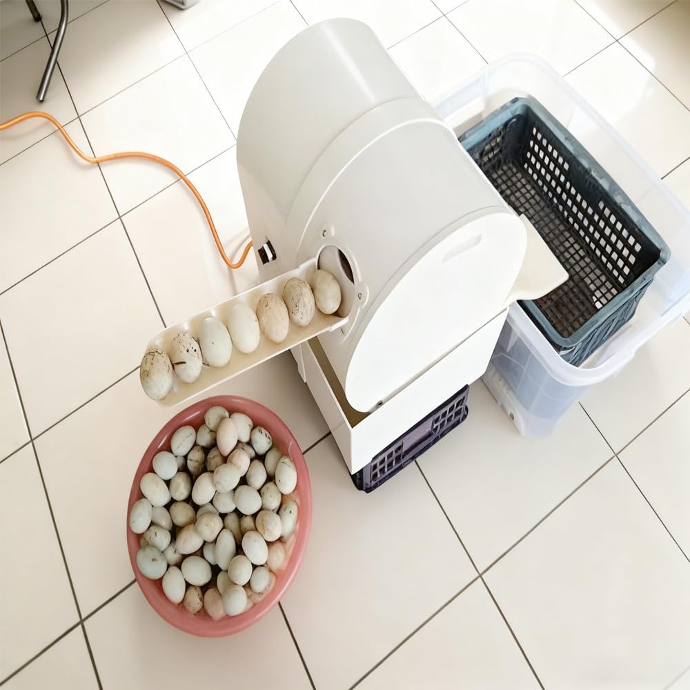 Eierwaschmaschine,Poultry Egg Washing Machine,Automatic Egg Washing Machine,2300 Stück/H Eierreiniger Waschmaschine Hühner Enten-Gänseei,Für Zuchtbetriebe Und Bauernhöfe