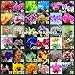 SALE! 200PC Butterfly Orchid Seeds, 36 Varieties of Beautiful Bonsai Flower Seeds, Senior Ornamental Orchid Plants