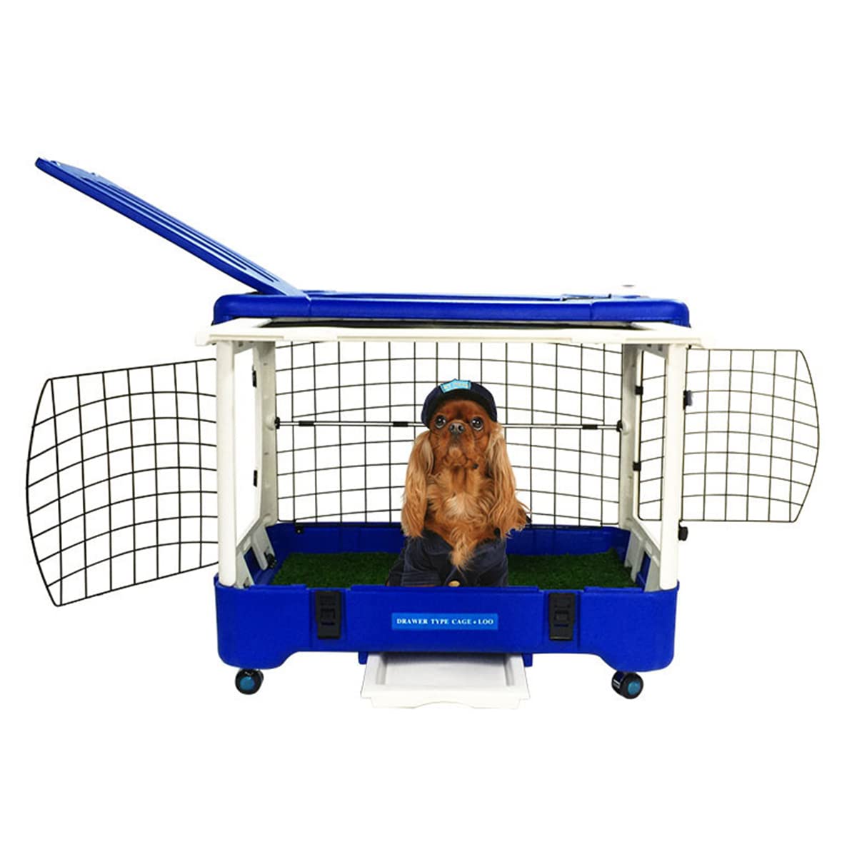 Pet Carrier Hard Shell Airline Approved Animal Carrier for dogs and