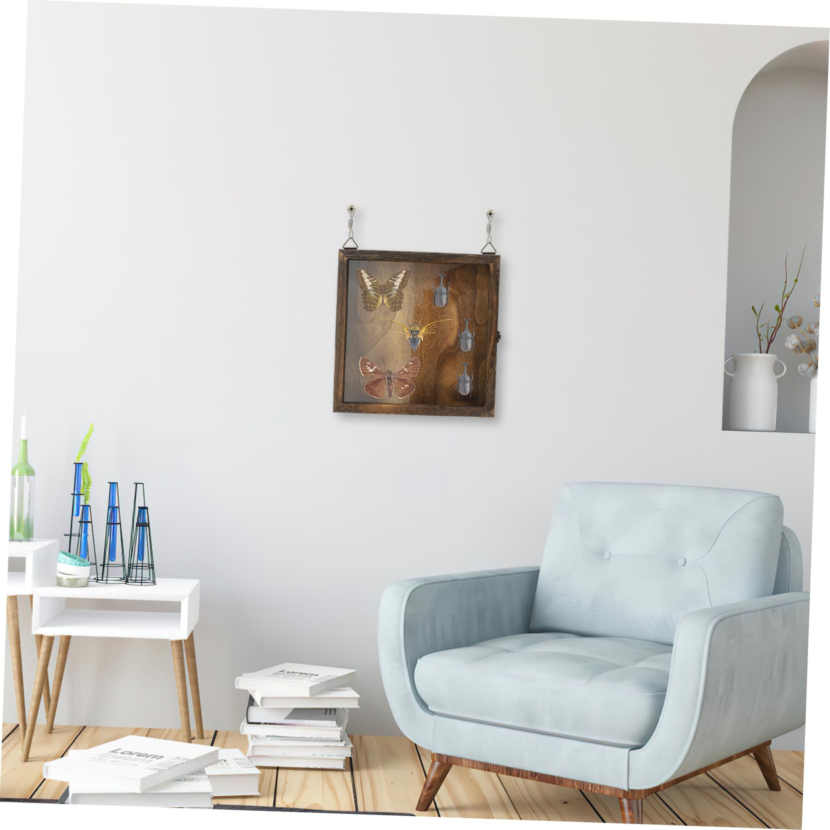 FUNOMOCYA Large Capacity Insect Specimen Box Pin Display Case for Entomology Collections Safe Style