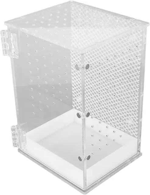 Akozon Arboreal Terrarium voor Wandelende Takken - Reptielenhabitat