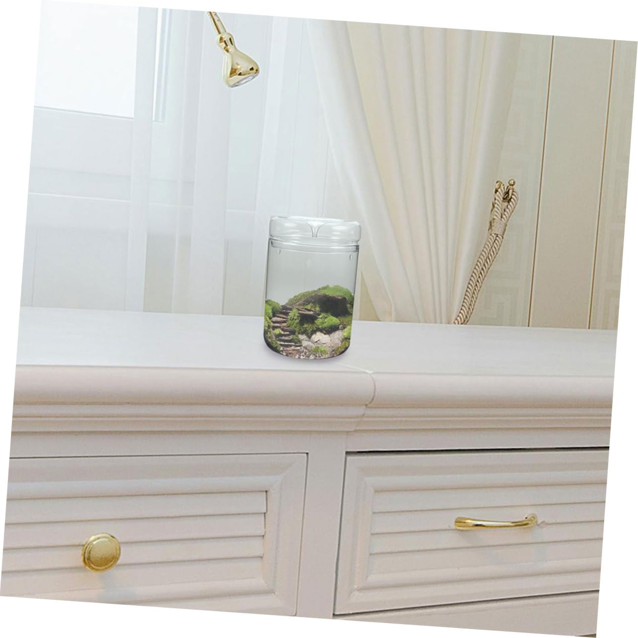 Alipis Terrario de Musgo Ecológico de Vidrio, Adorno Minimalista para Oficina Microjardín Natural