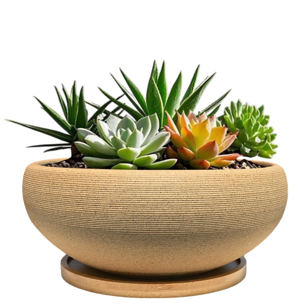 MUZHI 6 inch Succulent Pot - Unglazed Ceramic Bonsai Pot with Bamboo Tray, Rustic Pottery Cactus Planter with Drainage Hole Indoor Outdoor โ image 1