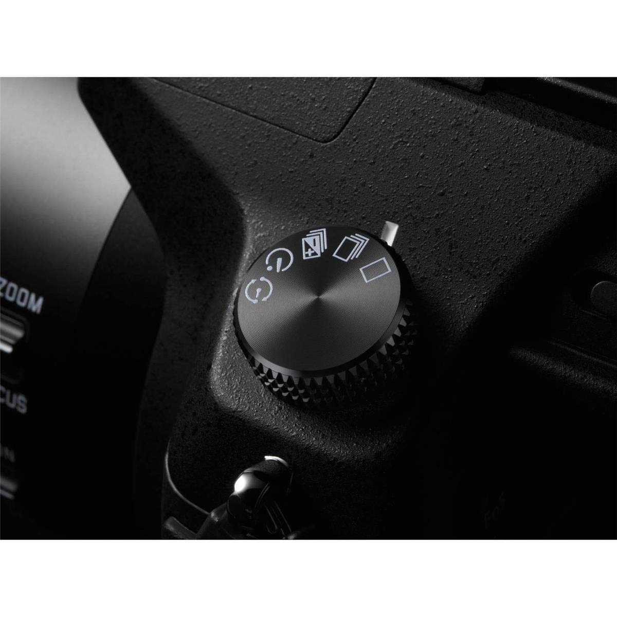 Amazon.com : Panasonic LUMIX FZ1000 4K Point and Shoot