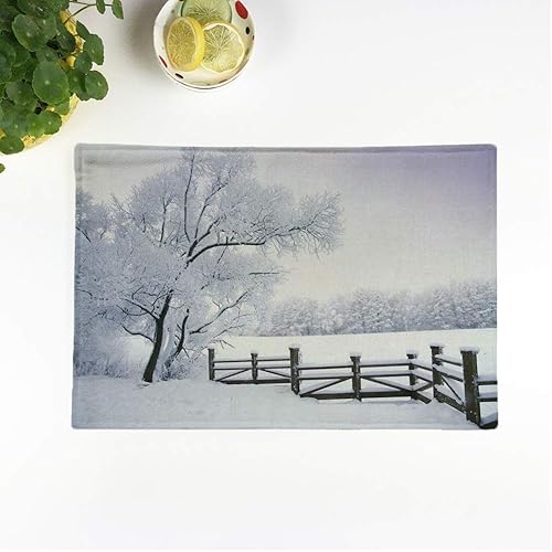 Miniatura 7 de Rouihot - Juego de 4 manteles individuales con diseño de calavera de toro en nativo americano mexicano, tradicional, antideslizante, para mesa de