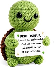 Varifieyo Tortue Positive en Crochet, Poupée Peluche et Câlin de Poche Porte-Clés - Cadeau Meilleure Amie, Cadeau Femme Homme avec Un Message Positif pour Anniversaire, Noël, Décoration Maison