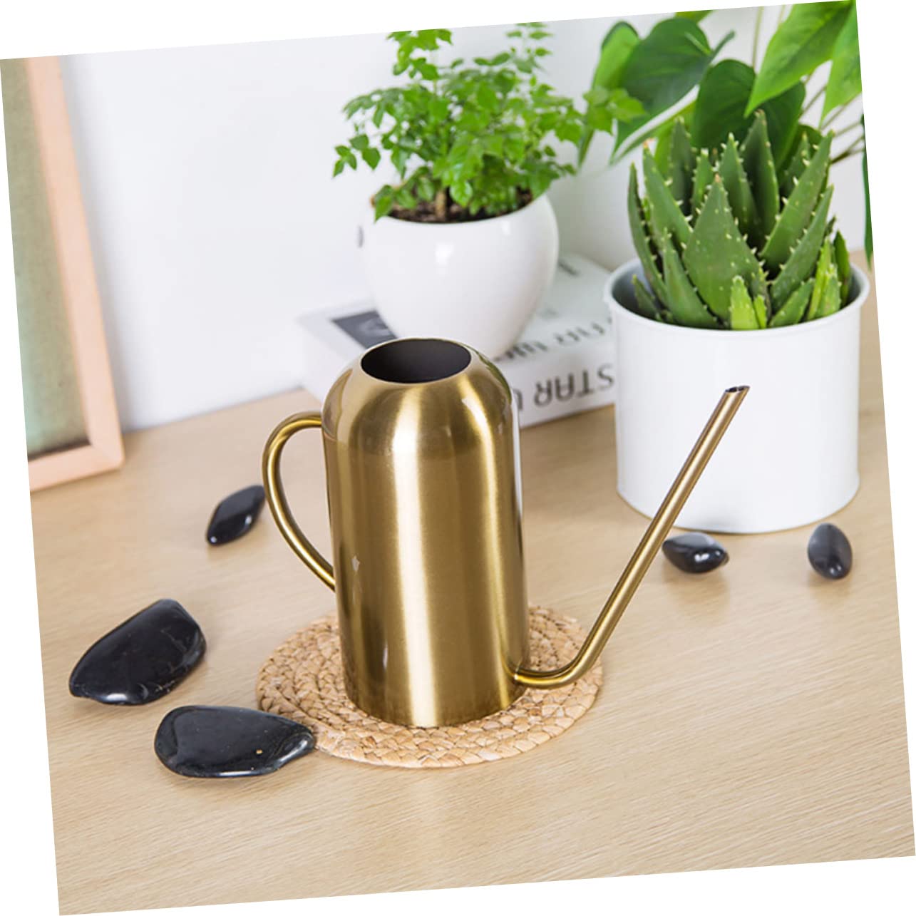 HANABASS Arrosoir Acier Inoxydable avec Bec Verseur Long Outil d Arrosage pour Plantes Grasses Et Plantes d Intérieur
