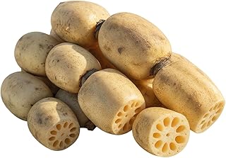 【産地直送】ICHIKAWA Farm 蓮根 茨城県土浦市産れんこん 2kg/手作りレシピ付き/シャキシャキ食感・肉厚・採れたて発送・鮮度最高/鍋・煮物・天ぷらに最適/国産 蓮根 野菜