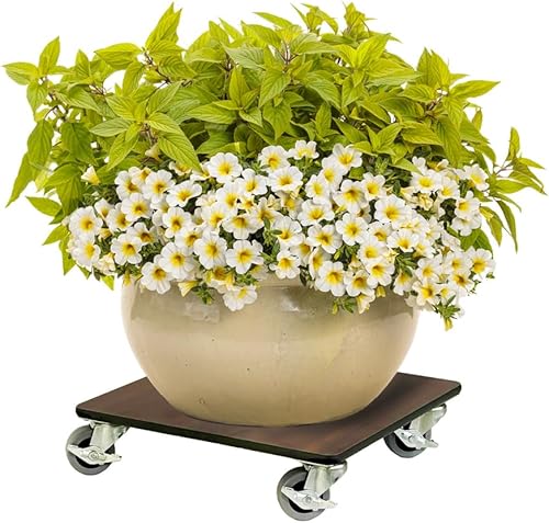 Foreman - Bandeja cuadrada para plantas (300 libras, 300 libras)