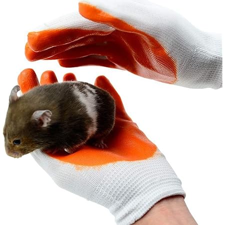 Amazon Amybe ペットグローブ 犬 猫 噛みつき防止 手袋 厚手 ハムスターグローブ 犬 猫 ハリネズミ 爬虫類保護手袋 ゴム製品デグー小動物用 右手 左手セット Amybe 除菌 消臭剤 通販