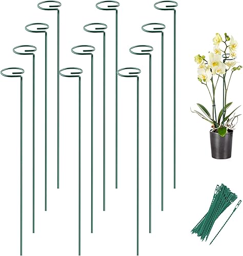 Miniatura 8 de Joyhalo Paquete de 12 estacas para plantas, estacas de soporte para plantas de 16 pulgadas, soporte de palos para plantas con 24 lazos giratorios,