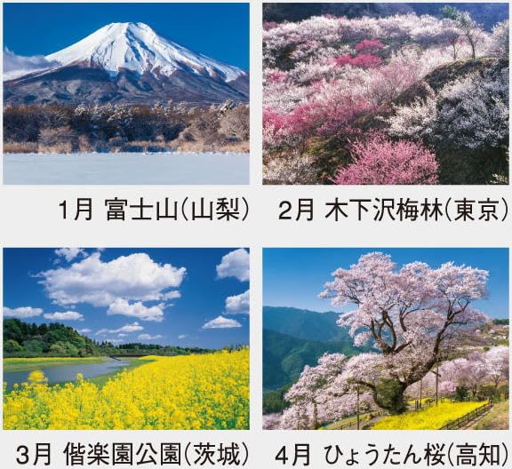 Amazon | カレンダー2026 壁掛け 風景 ザ・日本 日本風景 令和8年 2026