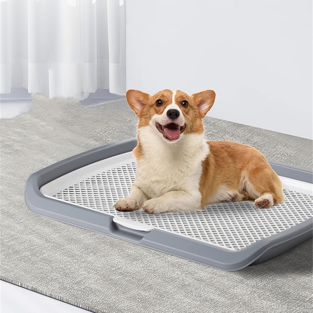 Große Urinierschale für Hunde mit vertikalem Design für männliches Design