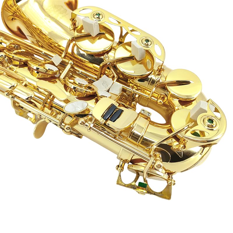 Image of Alto Saxophone E Flat for Adults Students Saxophone Beginner Kit with Mouthpiece Carrying Case Straps 10Reeds