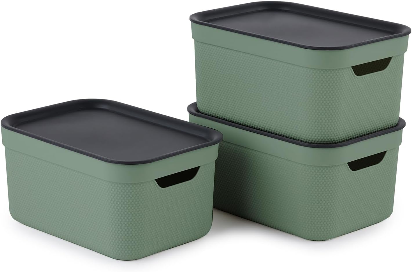 Rotho Jive Dekobox Set of 3 storage box 5l with lid, Plastic (PP recycled), green/anthracite, 3x5l (26.5 x 18.5 x 13.2 cm)