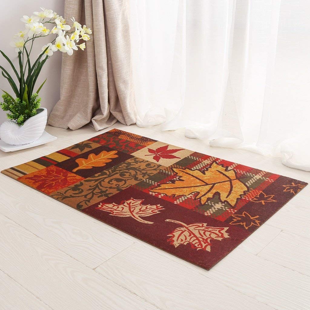 Tapis intérieur moderne rétro pour éliminer les glissades