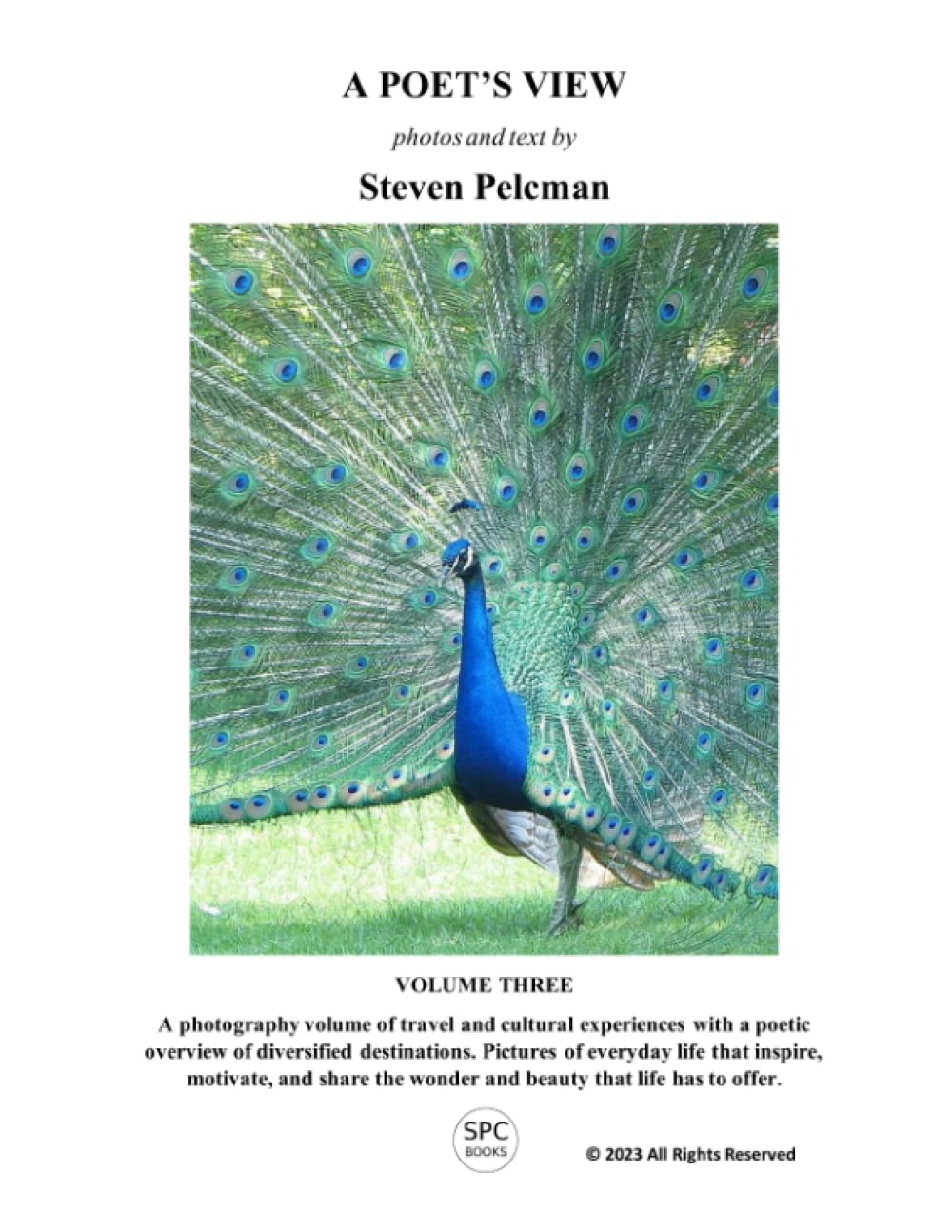 Livre de poésie A POET'S VIEW VOLUME THREE recueil littéraire contemporain