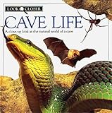  Cave Life
