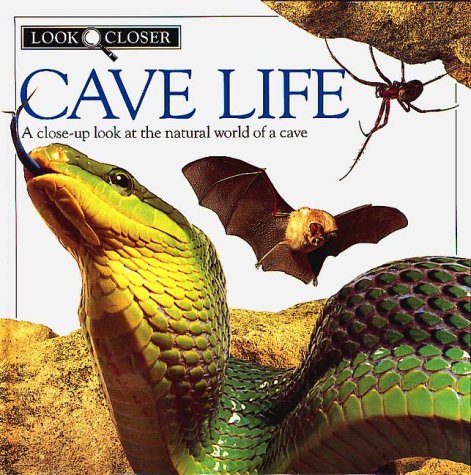  Cave Life