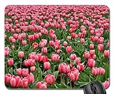 Easy Maintenance: This Mouse Mat Is Made Of Full Color Printing. Easy Cleaning And Maintenance And It Will Not Fade With Repeated Cleaning.