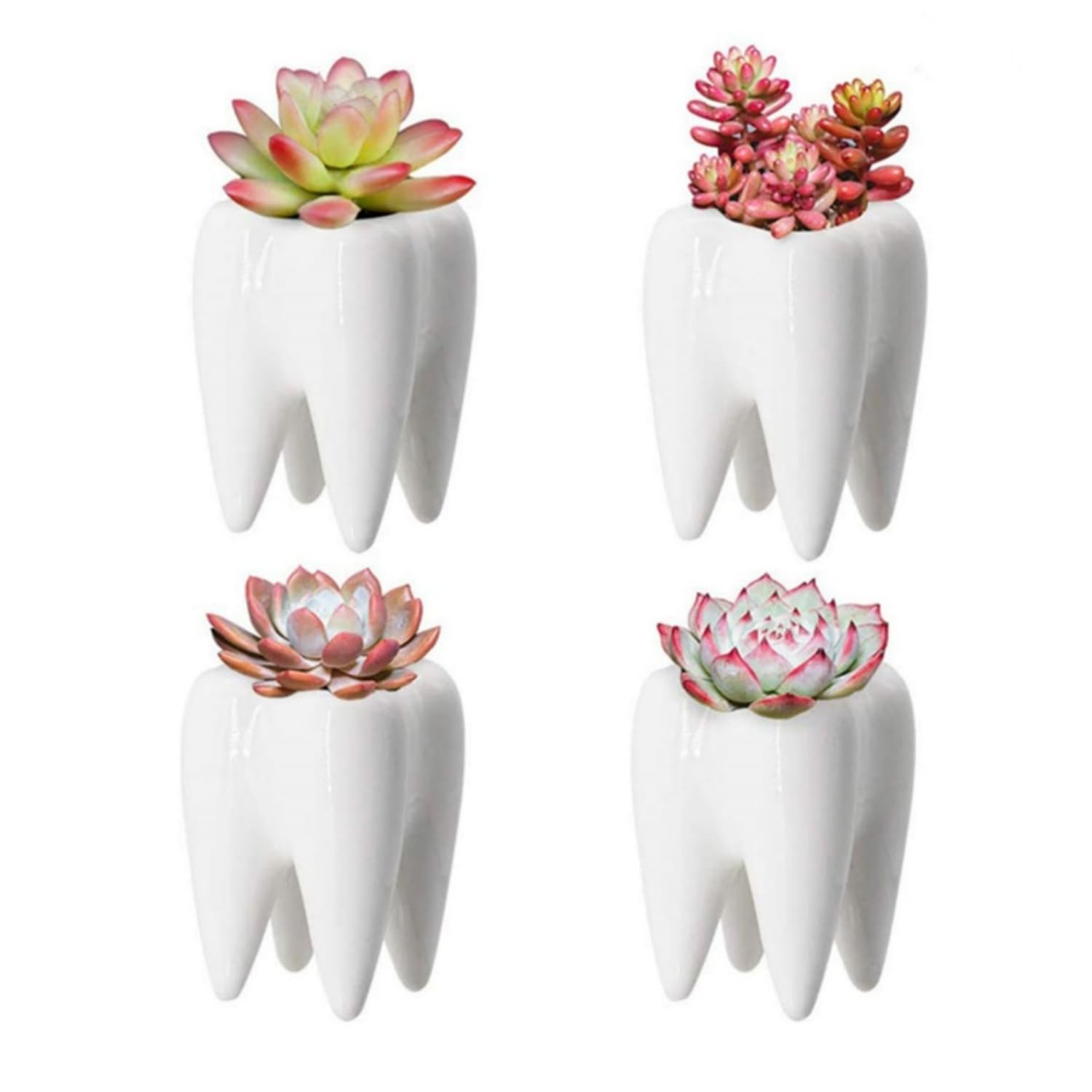 Pots de fleurs mignons en céramique émaillée, contenant design de haute qualité