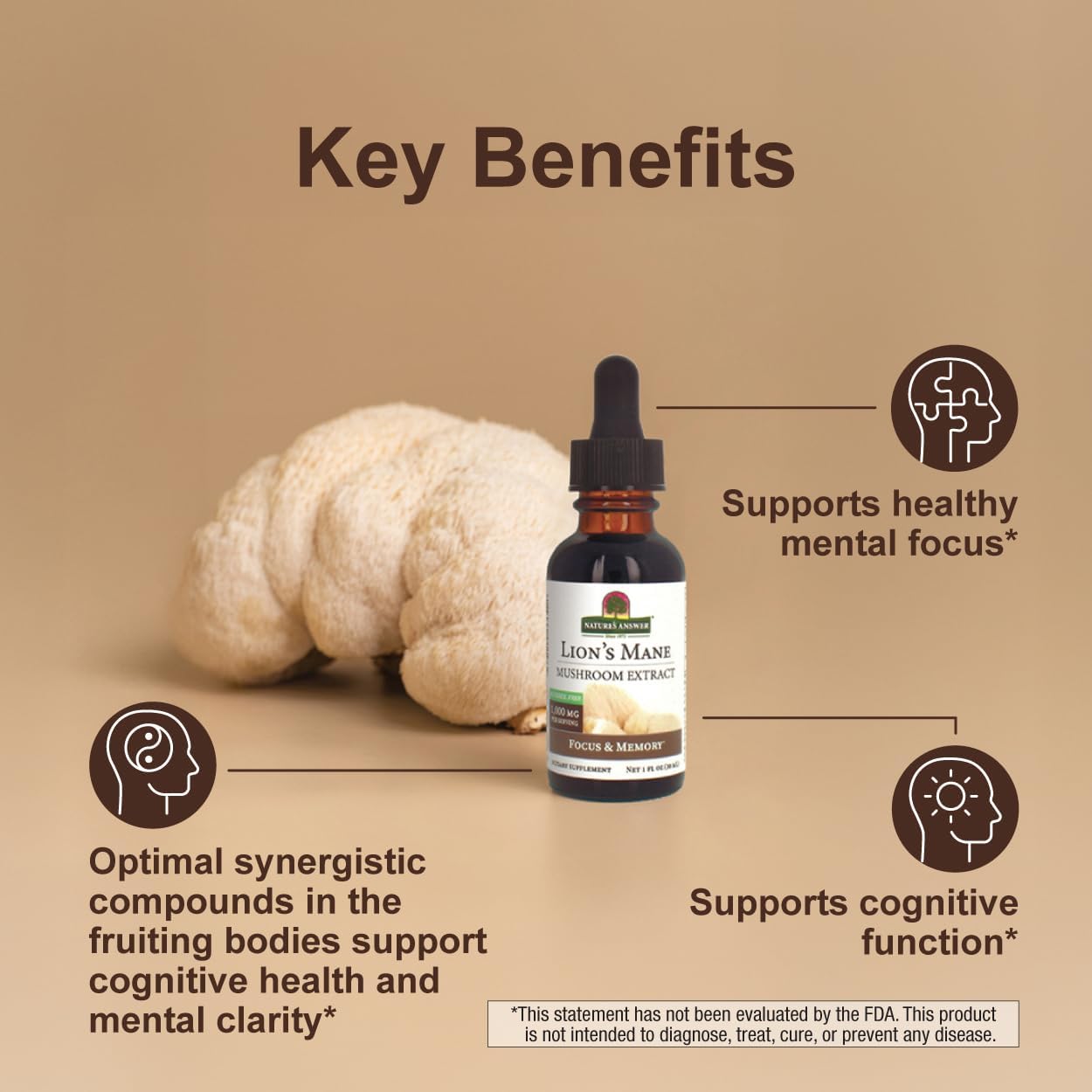 Nature's Answer Lion's Mane, Mushroom Extract, Alcohol Free, 1 fl oz (30 ml) - Image 5