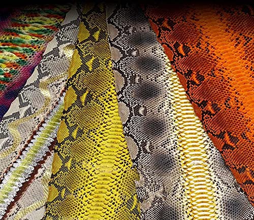 Couverture de téléphone arrière contre rayures étui cuir Python iPhone 13 - 2