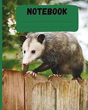 Possum Notebook: Lined, 110 Pages