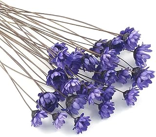 Dried Flowers, 100 Pcs Small Brazilian Star Daisy, Purple, Natural Real Decorative Dry Flower Bouquet, Mini Daisy Dried Flowers for DIY Crafts, Resin Art, Photo Prop