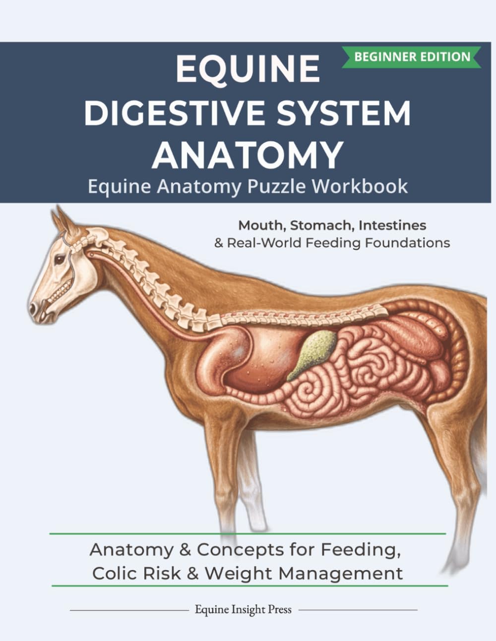 Equine Digestive System Anatomy | Puzzle Book | 122 pages | 8.5 x 11: Structure, Function, and Foundations for Feeding, Gut Health & Comfort (Equine Anatomy Puzzle Workbooks)