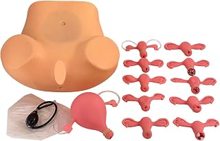 Uterus and Ovary Model, Anatomical Structures of Pelvic, Uterine and Ovarian Lesions Model of Female Reproductive System for Human Anatomy and Physiology Education