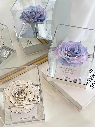 Miniatura 7 de Caja de acrílico con tapa, cubo cuadrado transparente, pantalla pequeña, contenedores de almacenamiento de joyas de dulces transparentes para