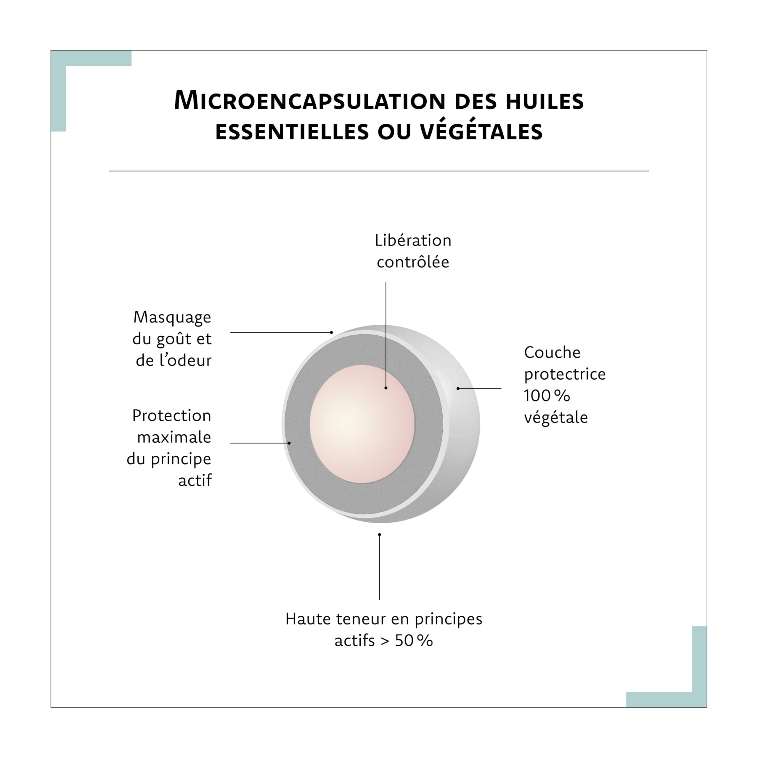 ARAGAN | Synactifs Lot de 2 Flexactifs | Complément Alimentaire Bien-Etre Articulaire | Glucosamine, Harpagophytum, Curcuma, Eucalyptus et Zinc | 120 gélules | 2 mois prise | Fabriqué en France