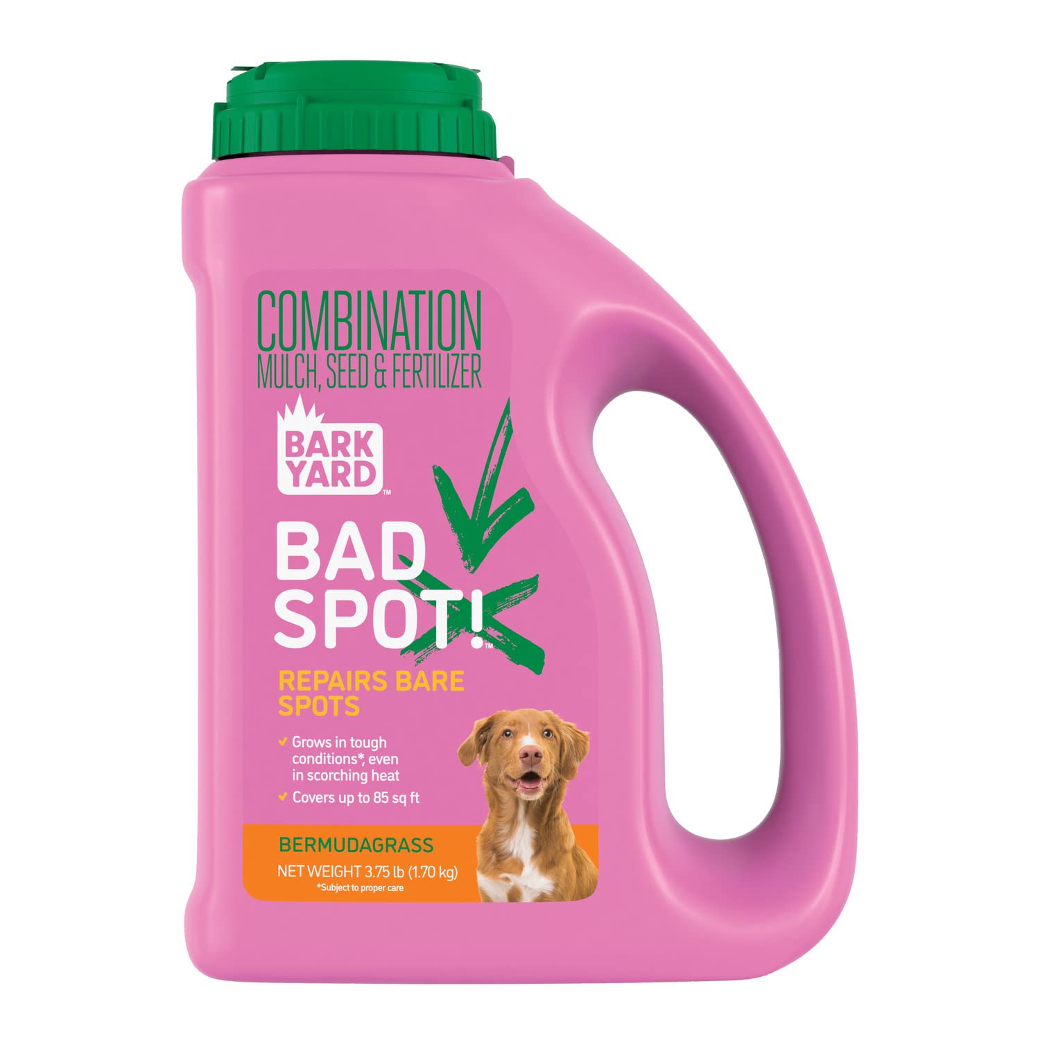 Is Bermuda Grass Bad For Dogs