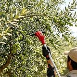 Scuotitore multicolture per alberi da frutto,raccolta sicura da terra 250W