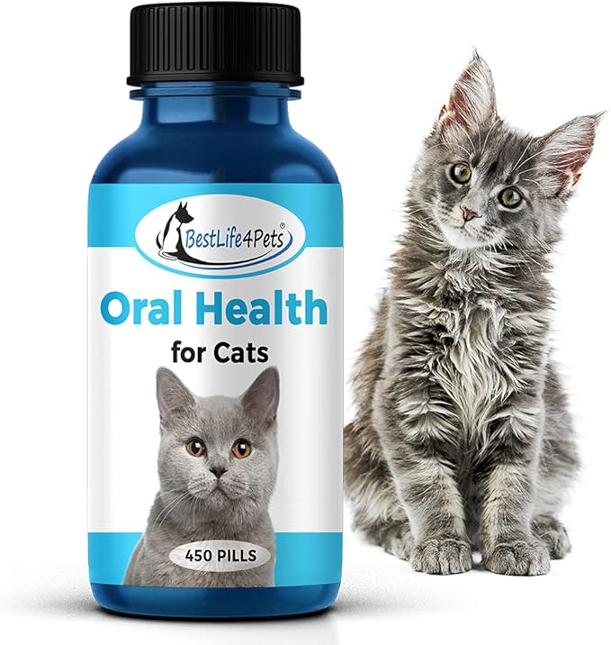 BestLife4Pets Oral Health for Cats Cat Dental Care