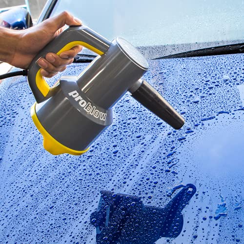 Chemical Guys Eqp403 Problow High Flow Professional Hand Held Dryer & Blower (Car Wash Dryer) For Cars, Trucks, Suvs, Rvs, Yard, Garage, Home, Work And More #TOP2