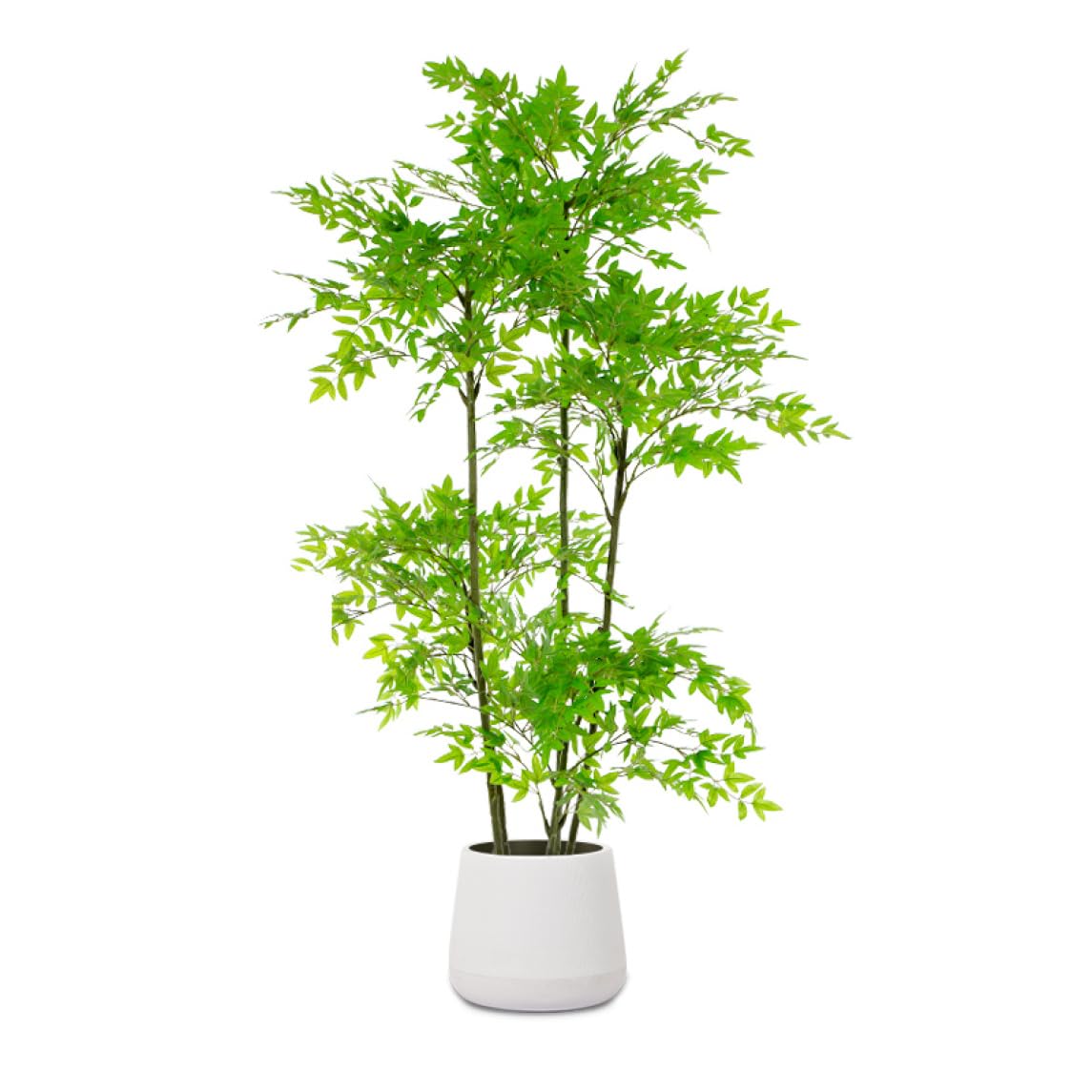 【美品】フェイクグリーン 観葉植物160cm 鉢植 Amazon｜HGJH フェイクグリーン 人工観葉植物 観葉樹 黒い鉢付き