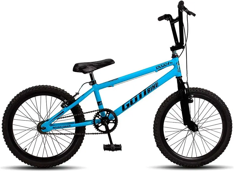 Bicicleta Infantil Aro 20 Bmx Freio V-Brake Gottbike