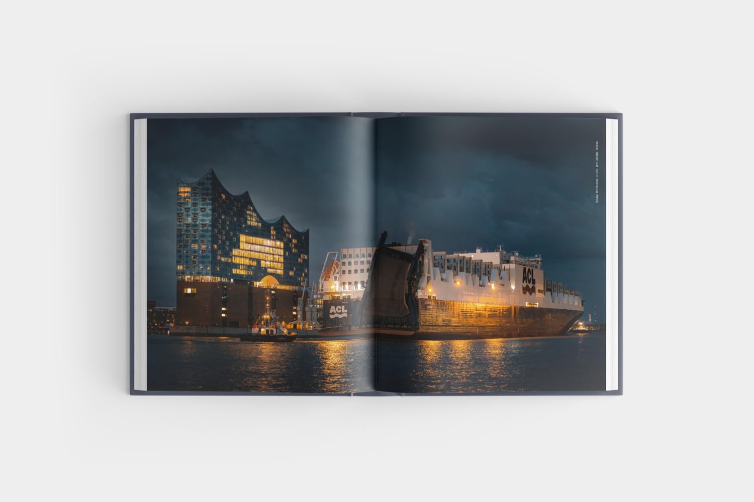 Der Hamburger: Das Buch der Stadt